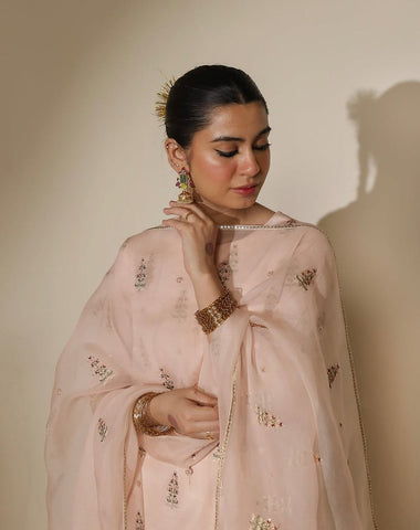 CHERRY BLOSSOM | 3-Piece Stitched Embroidered Outfit