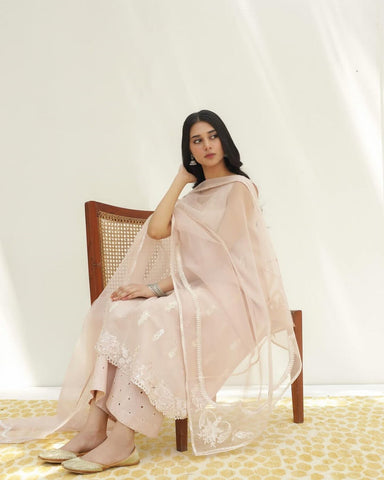 Pink Dusty | 3-Piece Stitched Embroidered Outfit